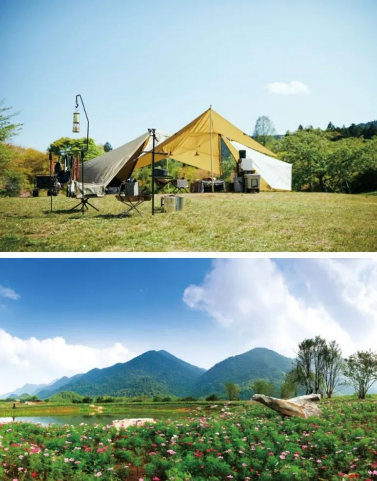 红池坝国家森林公园旅游攻略_巫溪县新闻_巫溪县自然风光