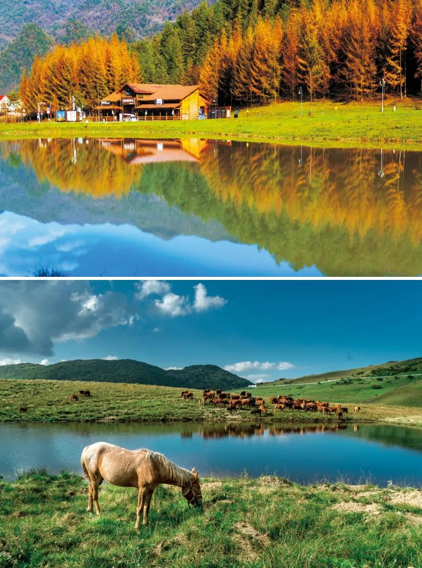 巫溪县自然风光_巫溪县新闻_红池坝国家森林公园旅游攻略