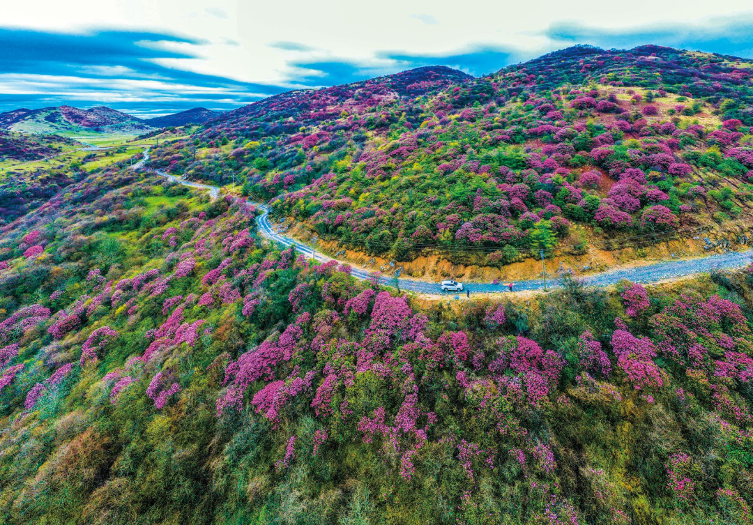 巫溪县自然风光_巫溪县新闻_红池坝国家森林公园旅游攻略
