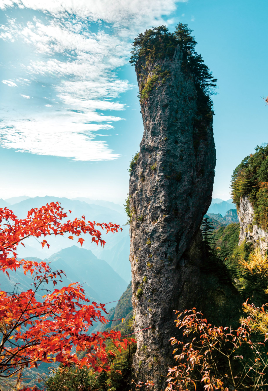 巫溪县自然风光_红池坝国家森林公园旅游攻略_巫溪县新闻