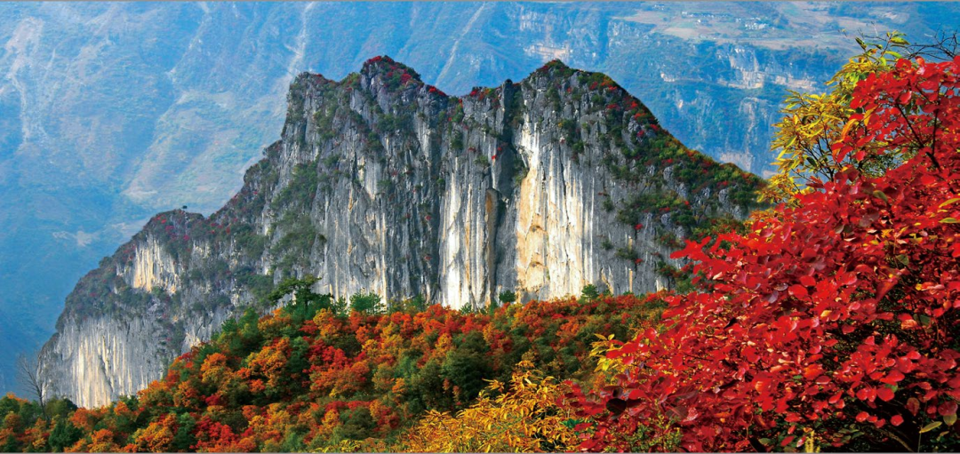 巫溪县自然风光_红池坝国家森林公园旅游攻略_巫溪县新闻