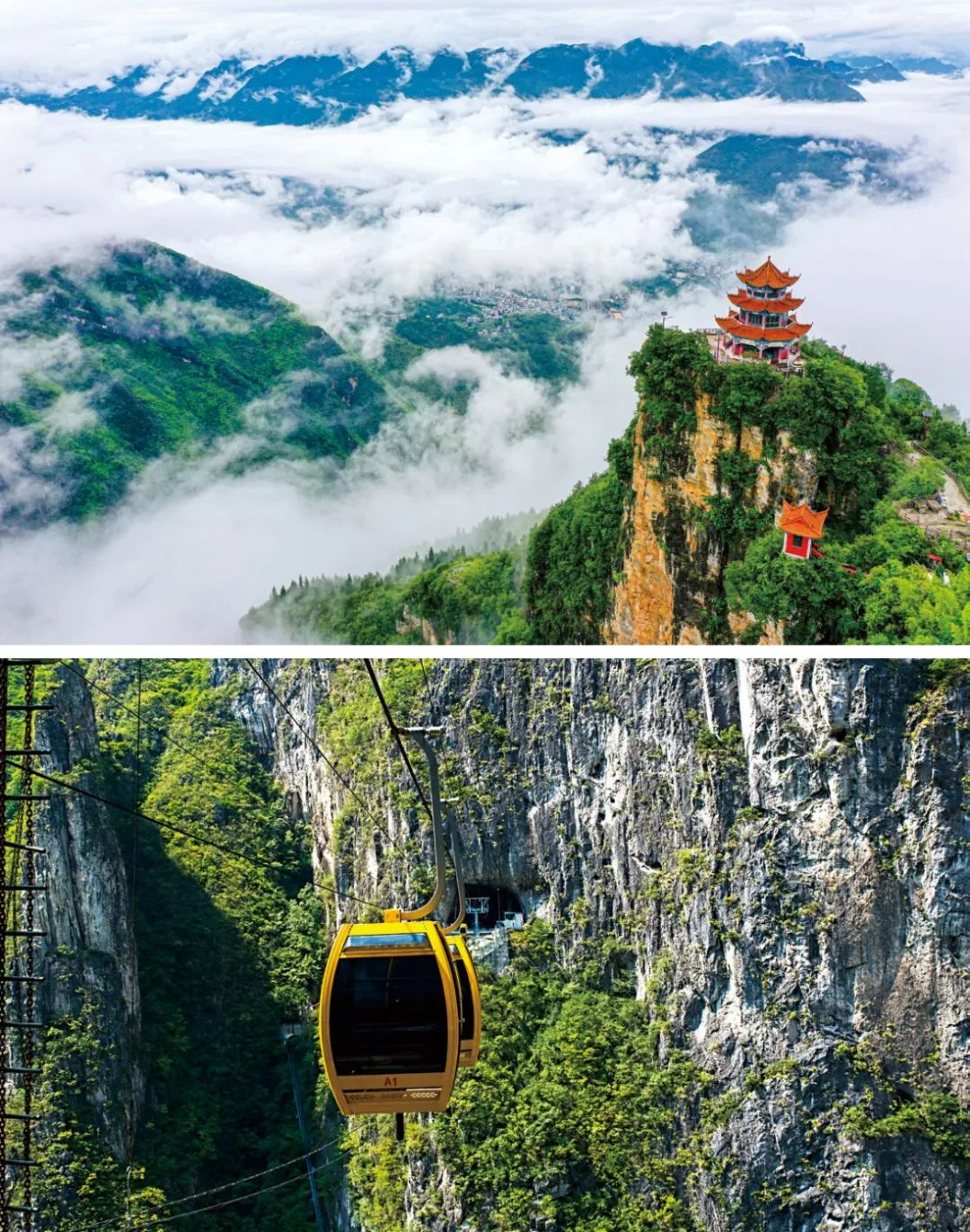 巫溪县自然风光_巫溪县新闻_红池坝国家森林公园旅游攻略