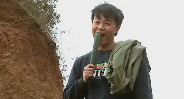 康洪雷怎么出的事故_我的团长我的团 康洪雷 王宝强