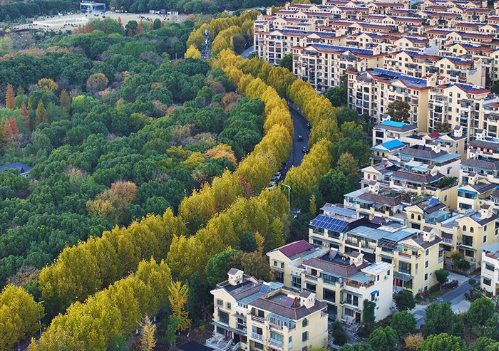 芜湖鸠江区：一本民生账 写满幸福感