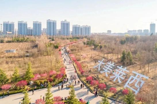 莱西新闻_莱西市疫情防控新闻发布会 青岛住电电子线束有限公司复工复产 莱西经济开发区网格化服务一企一策