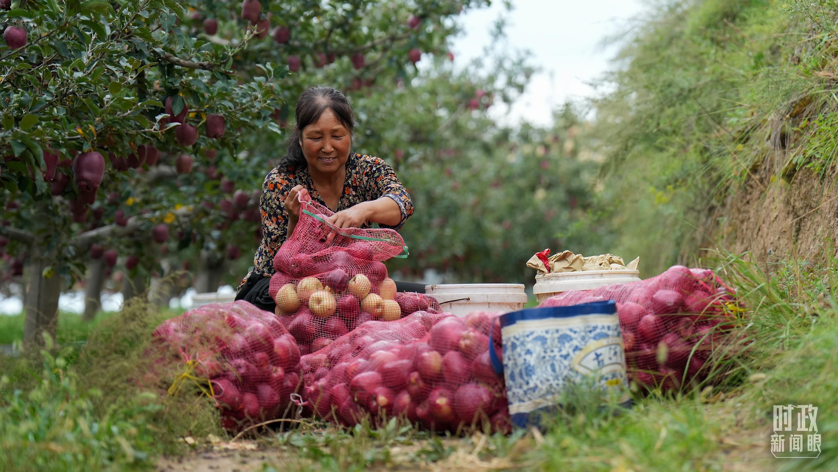 中央经济工作会议解读_2025政治新闻_2025年经济工作部署