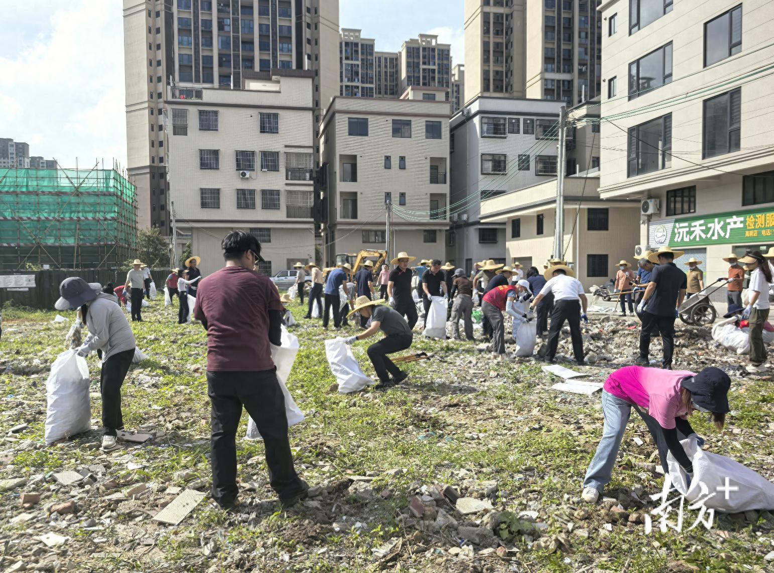 高明园区乡村换新颜，发展活力再升级