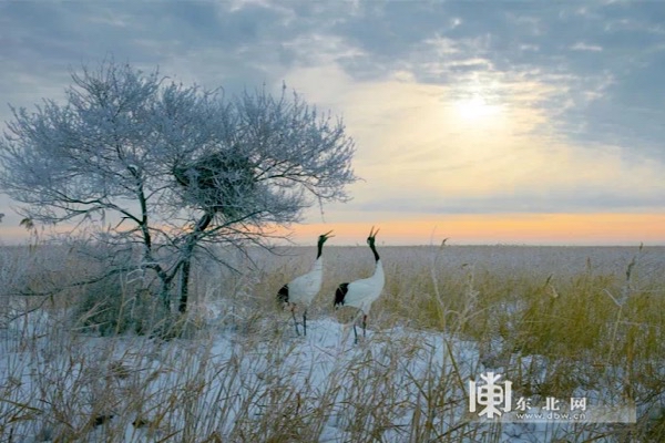 黑龙江冬季旅游攻略_龙江冰雪旅游线路_哈尔滨旅游新闻