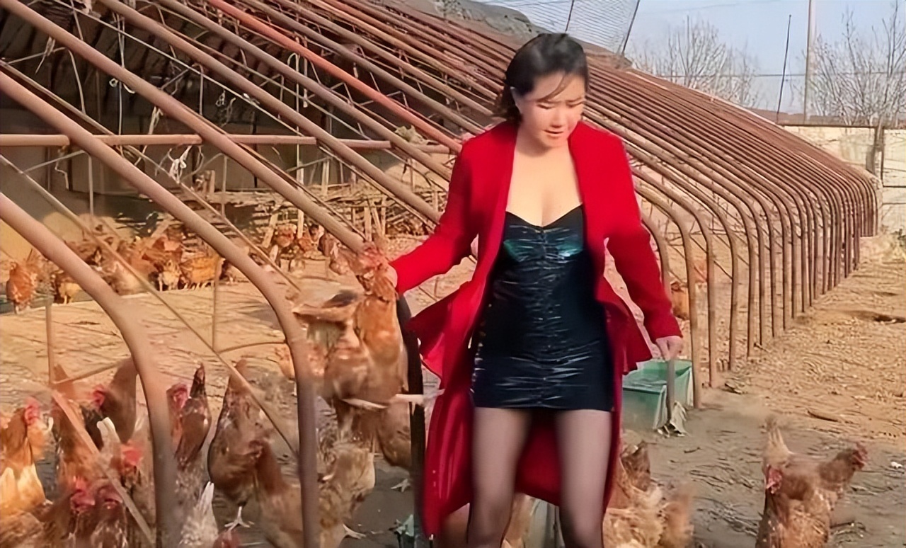 张暖雅17全婐照片图_港星张暖雅怀孕结婚_张暖雅农村生活日常