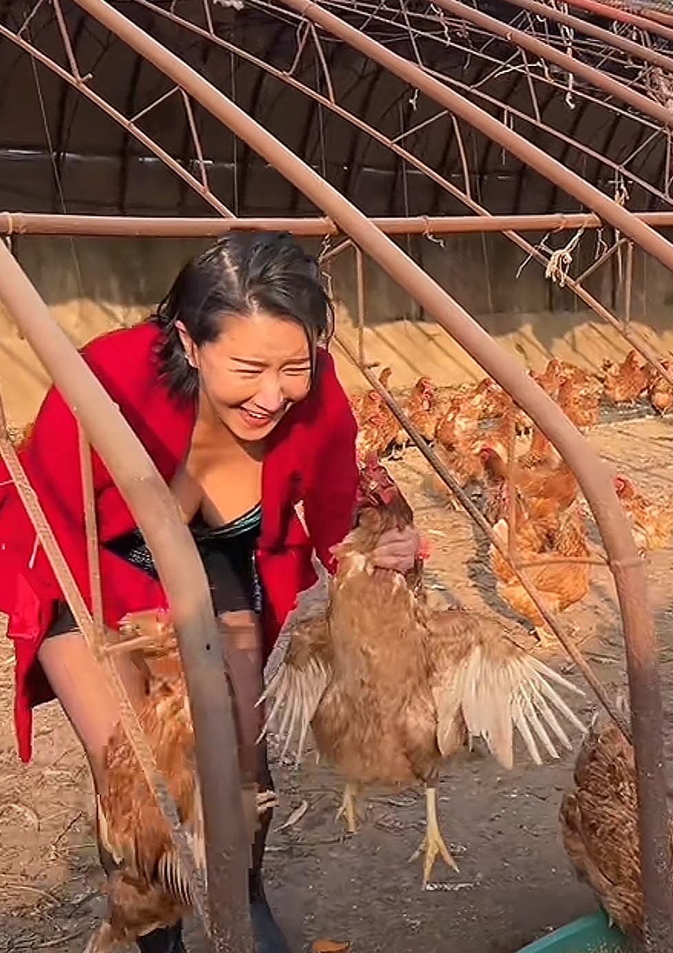 张暖雅近况_张暖雅山东农村生活_张暖雅17全婐照片图