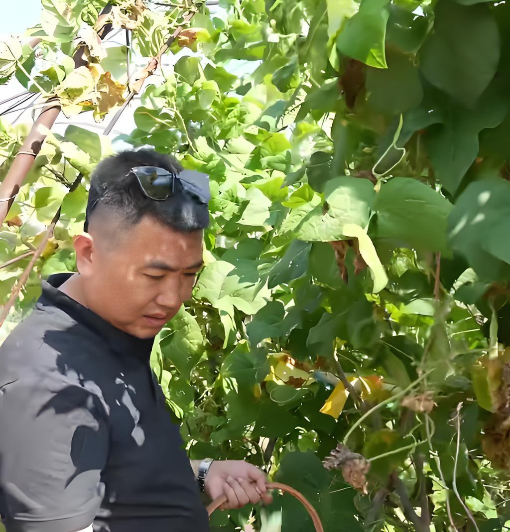 张暖雅17全婐照片图_张暖雅 香港三级片女星 山东农村 果园女主人