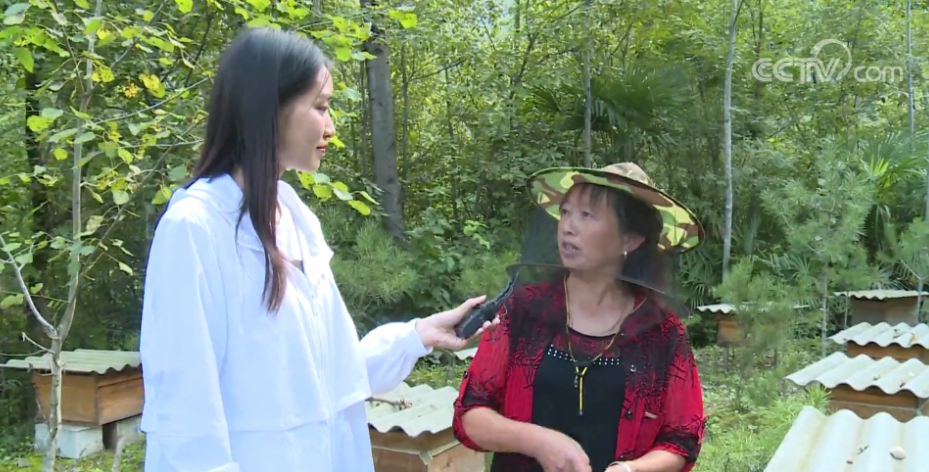 镜头中的脱贫故事直播活动_国家扶贫办李春光去哪_脱贫攻坚成果展示