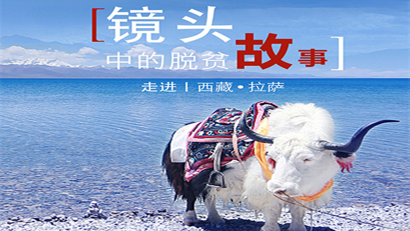 镜头中的脱贫故事直播活动_国家扶贫办李春光去哪_脱贫攻坚成果展示