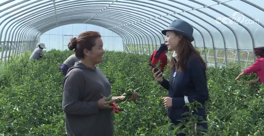 镜头中的脱贫故事直播活动_脱贫攻坚成果展示_国家扶贫办李春光去哪