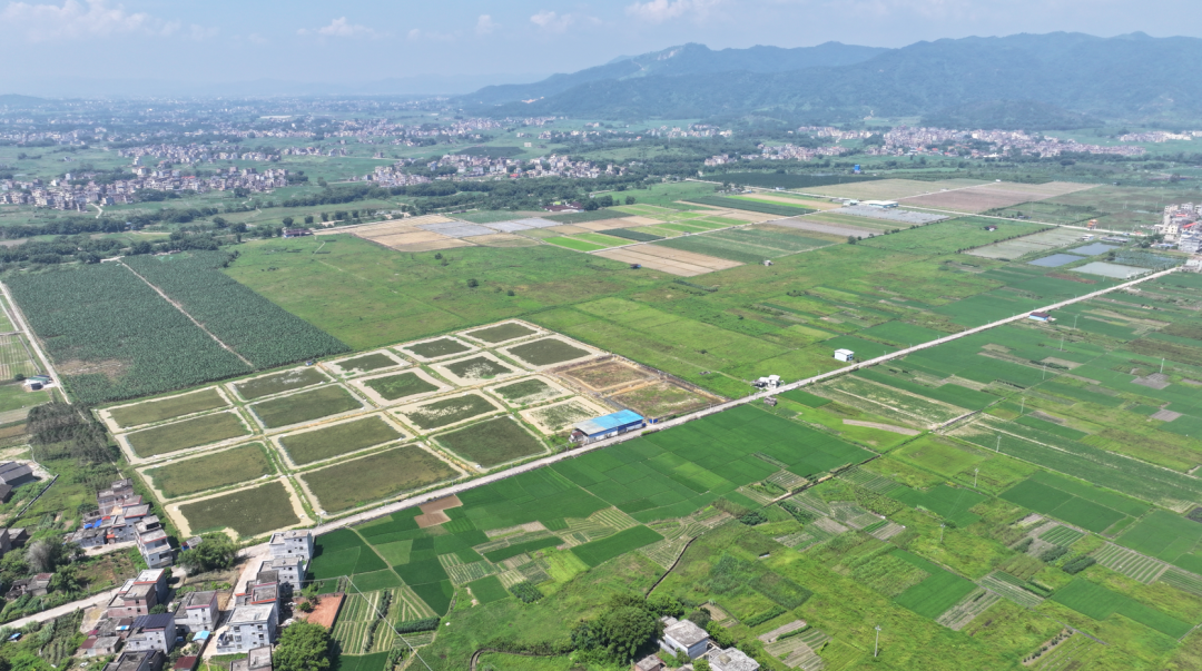 冷坑镇全域土地综合整治_怀集冷坑新闻？_怀集县现代农业产业园