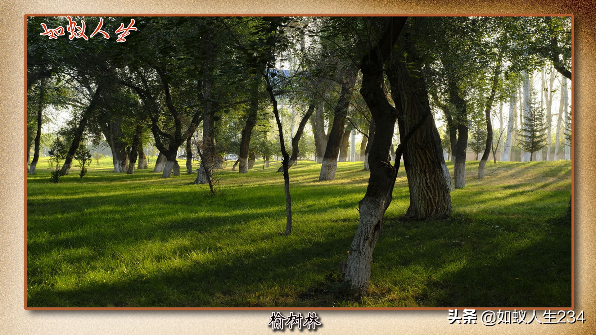 榆次名称由来_太原和榆次合并新闻_郭恒耀榆次地名研究