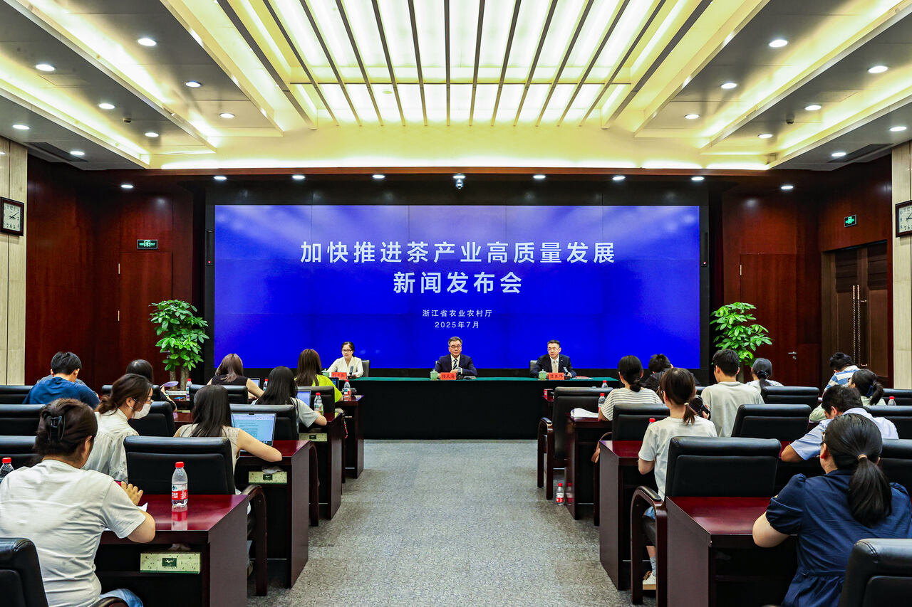如何加快推进浙江茶产业高质量发展？这场发布会给出了答案