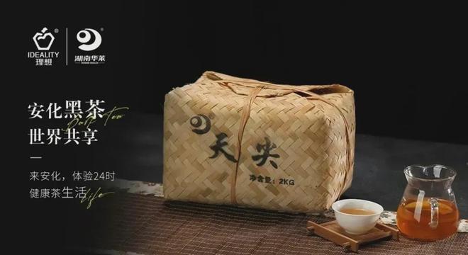 茶产业新闻_浙江茶产业高质量发展_浙江茶产业全产业链升级