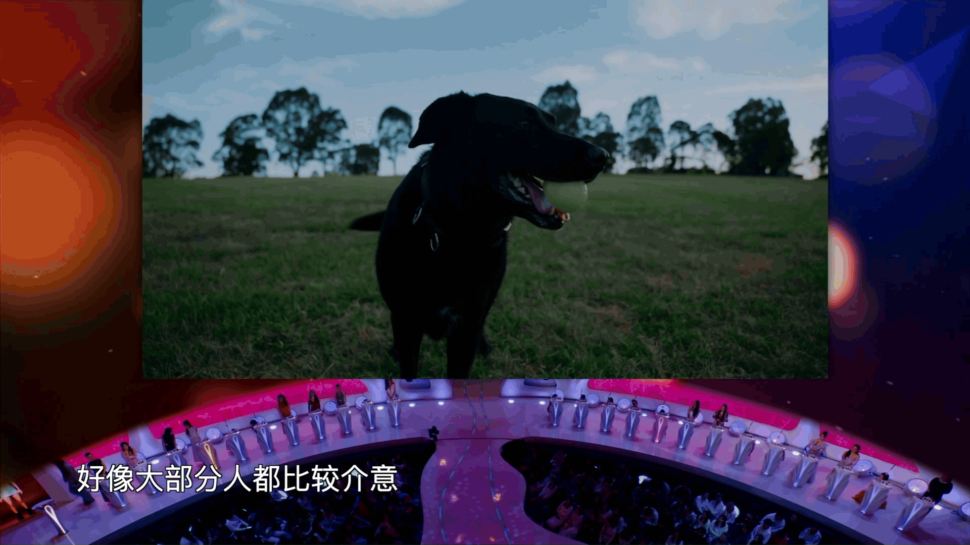 《非诚勿扰》澳洲专场今晚播出 墨尔本男嘉宾再赴寻爱之约