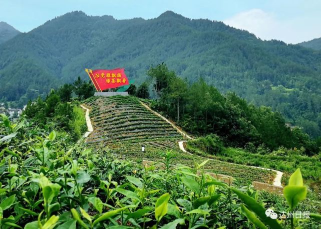 干得漂亮！这样的万源你没见过！