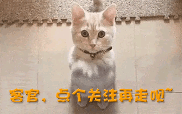 张信哲演唱会猥亵后续，知情人曝光现场视频，这一幕太令人恶心