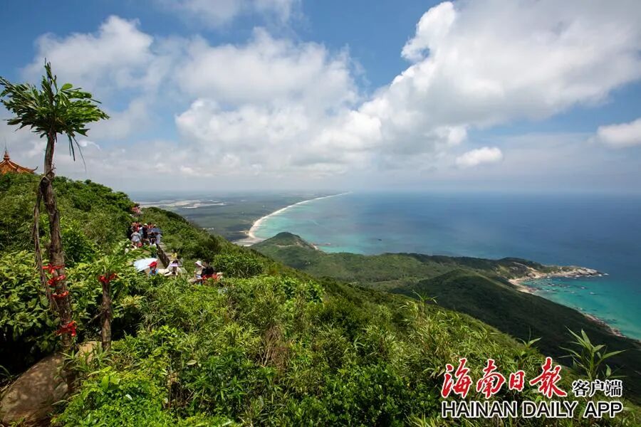 跟着口号打卡海南，总有一条能给你一个出发的理由