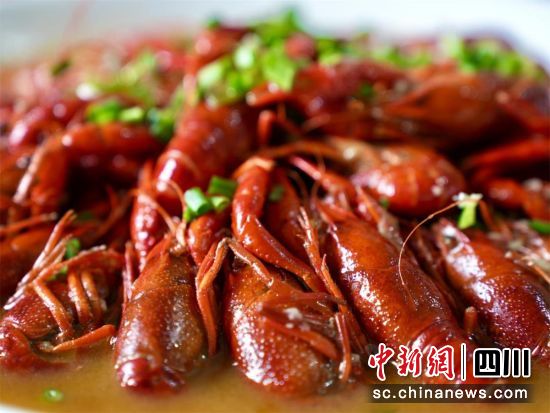 隆昌: 让“中国石牌坊之乡”走向更诗意的“远方”