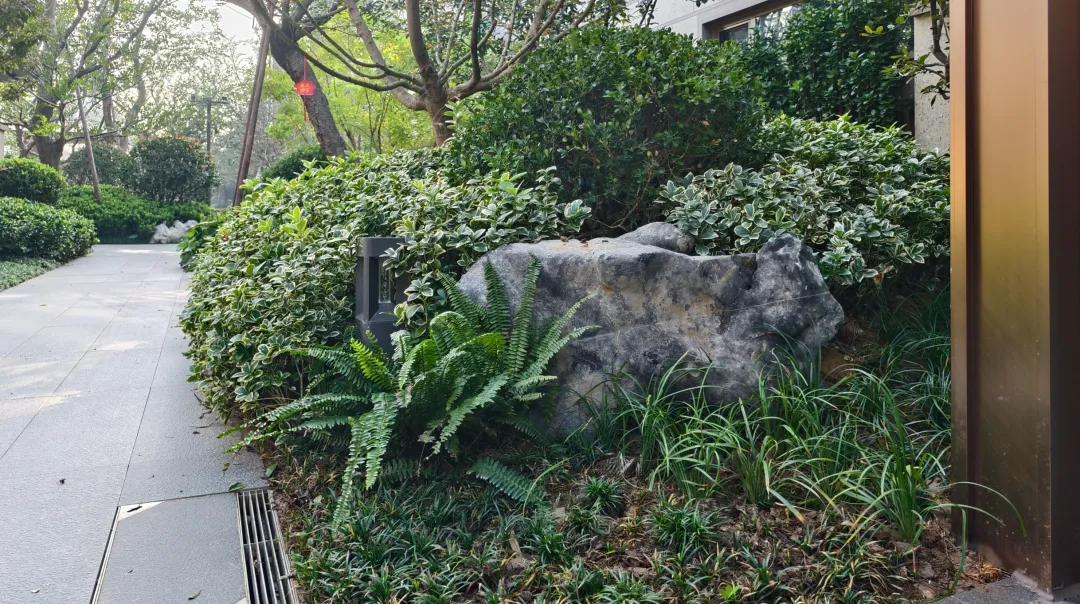 近期,青岛4万/平高端盘交付的刚需感,让人惊掉下巴