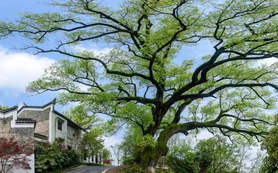 湖南最美中学的前身竟是这座古代书院?