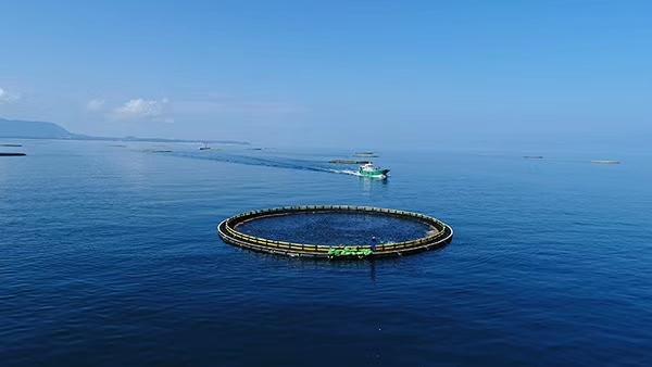 【大国粮策】深海养殖2.0：用科技解锁蓝色粮仓“新副本”
