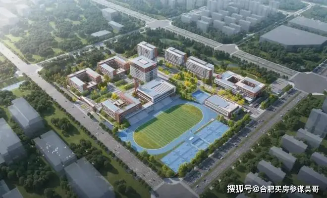 合肥26年1月最新教育与学校发展成就大事记:新建多所中小学高中