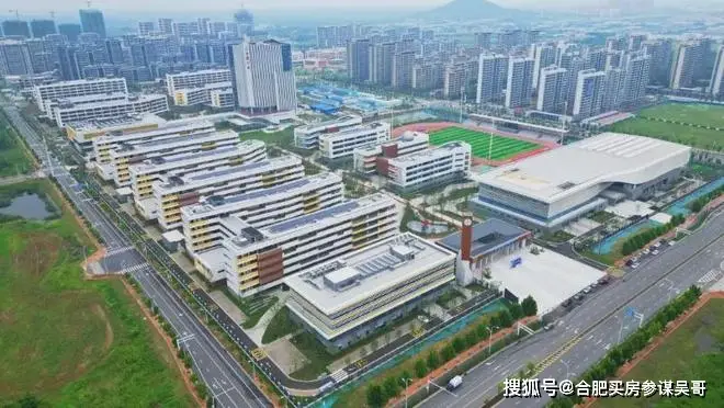 合肥26年1月最新教育与学校发展成就大事记:新建多所中小学高中