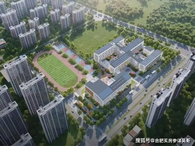 合肥26年1月最新教育与学校发展成就大事记:新建多所中小学高中