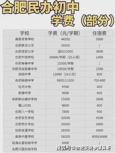 合肥26年1月最新教育与学校发展成就大事记:新建多所中小学高中