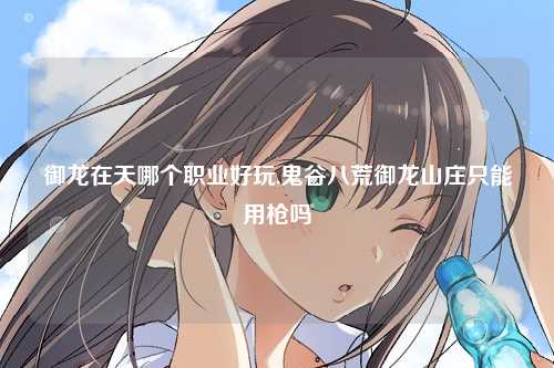 御龙在天哪个职业好玩,鬼谷八荒御龙山庄只能用枪吗