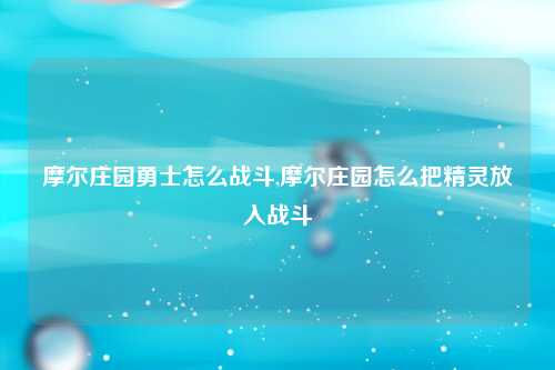 摩尔庄园勇士怎么战斗,摩尔庄园怎么把精灵放入战斗