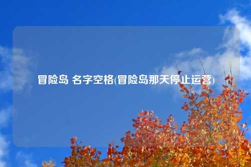 冒险岛 名字空格(冒险岛那天停止运营)