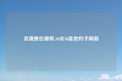灵魂兽在哪抓,10点50盆地豹子刷新