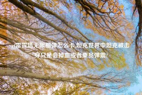 cf雷霆塔无限榴弹怎么卡,坦克世界中坦克被击穿只是会掉血或者乘员弹震?