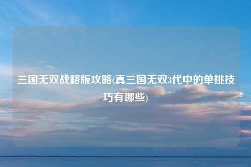 三国无双战略版攻略(真三国无双3代中的单挑技巧有哪些)