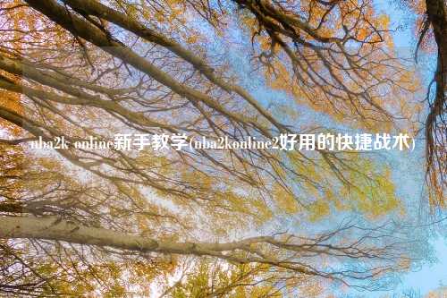 nba2k online新手教学(nba2konline2好用的快捷战术)