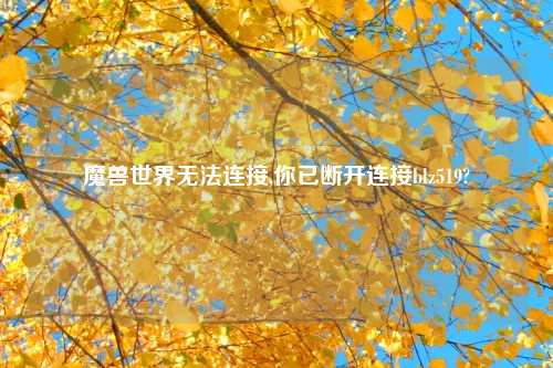 魔兽世界无法连接,你已断开连接blz519?