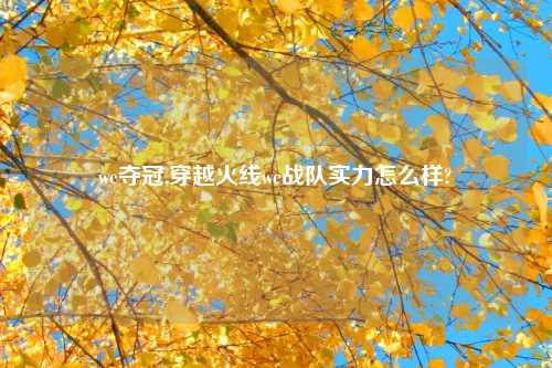 we夺冠,穿越火线we战队实力怎么样?