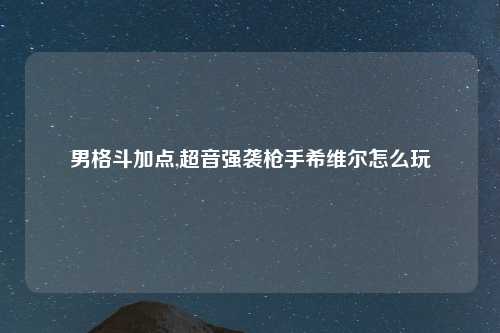 男格斗加点,超音强袭枪手希维尔怎么玩