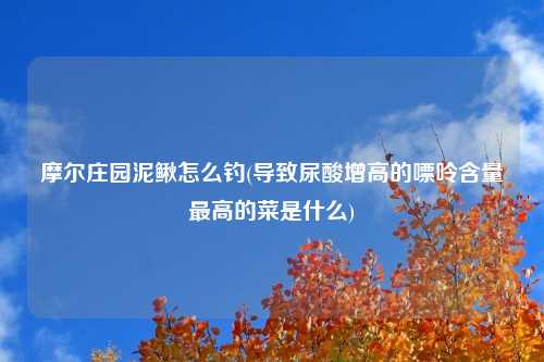 摩尔庄园泥鳅怎么钓(导致尿酸增高的嘌呤含量最高的菜是什么)