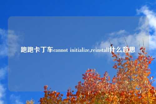 跑跑卡丁车cannot initialize,reinstall什么意思