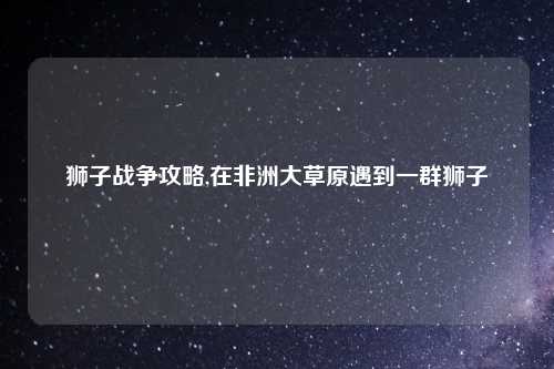 狮子战争攻略,在非洲大草原遇到一群狮子