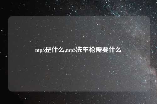 mp5是什么,mp5洗车枪需要什么
