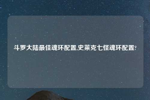 斗罗大陆最佳魂环配置,史莱克七怪魂环配置?