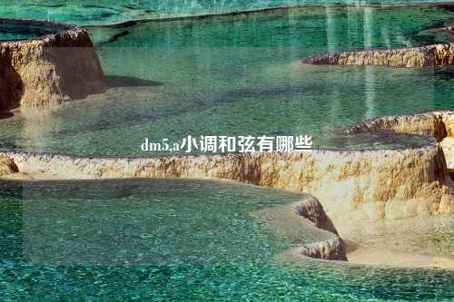 dm5,a小调和弦有哪些